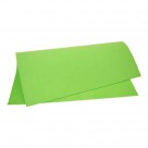 PLACA EM EVA 2MM 40X60CM LISO VERDE CLARO MAKE+ PE/10